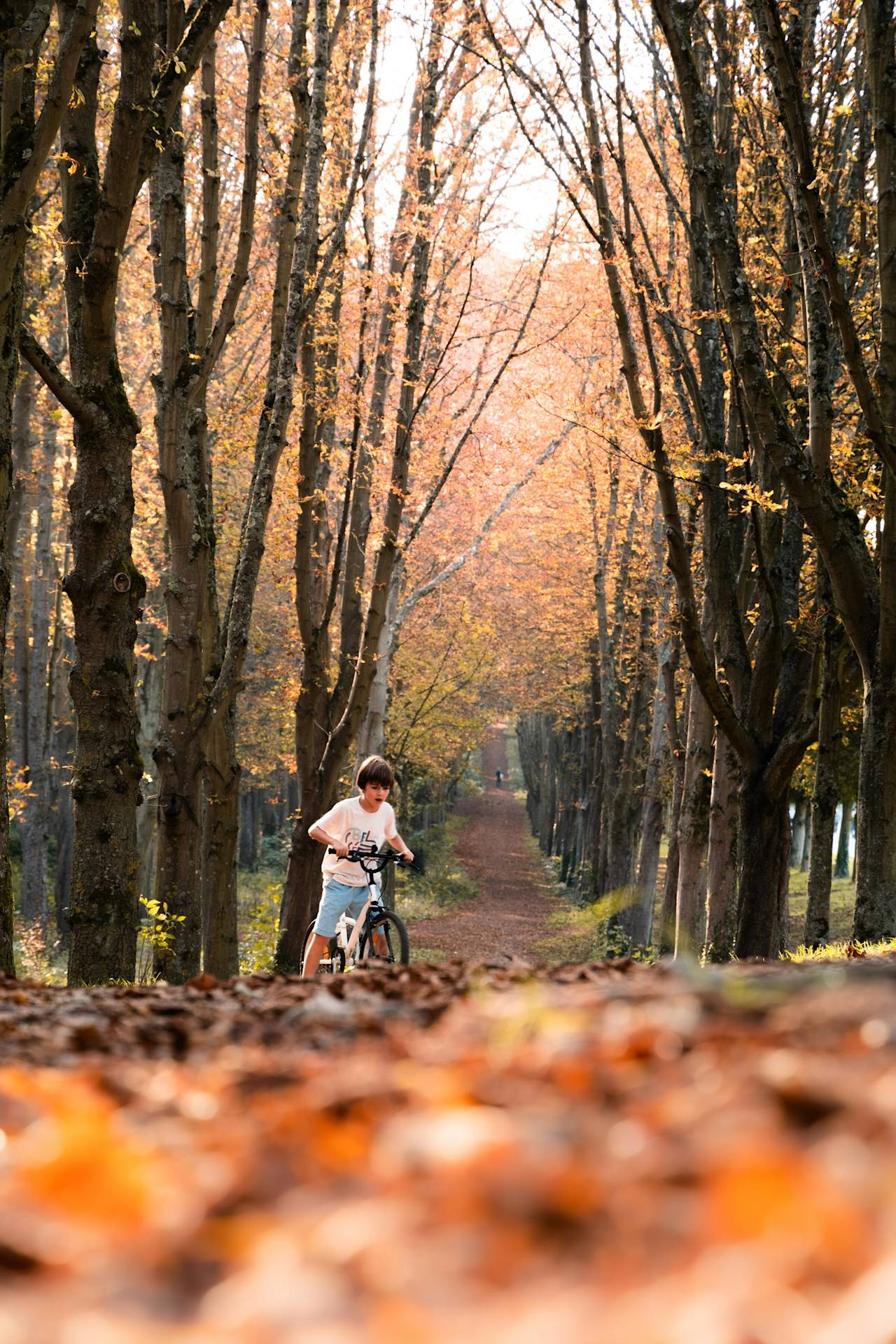 A cyclist riding through fallen autumn leaves under bare trees